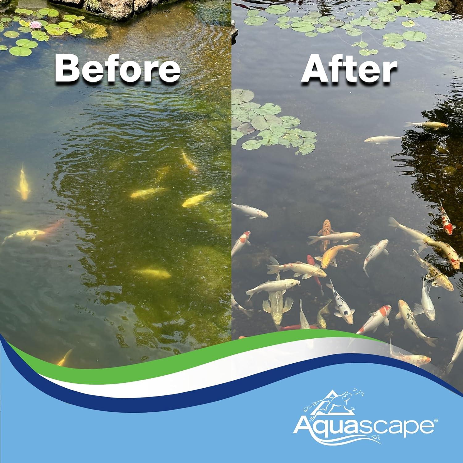 Aquascape Algaecide for Pond, Waterfall, and Water Features, 2.5-Gallon, 96053(32 oz / 946 ml)