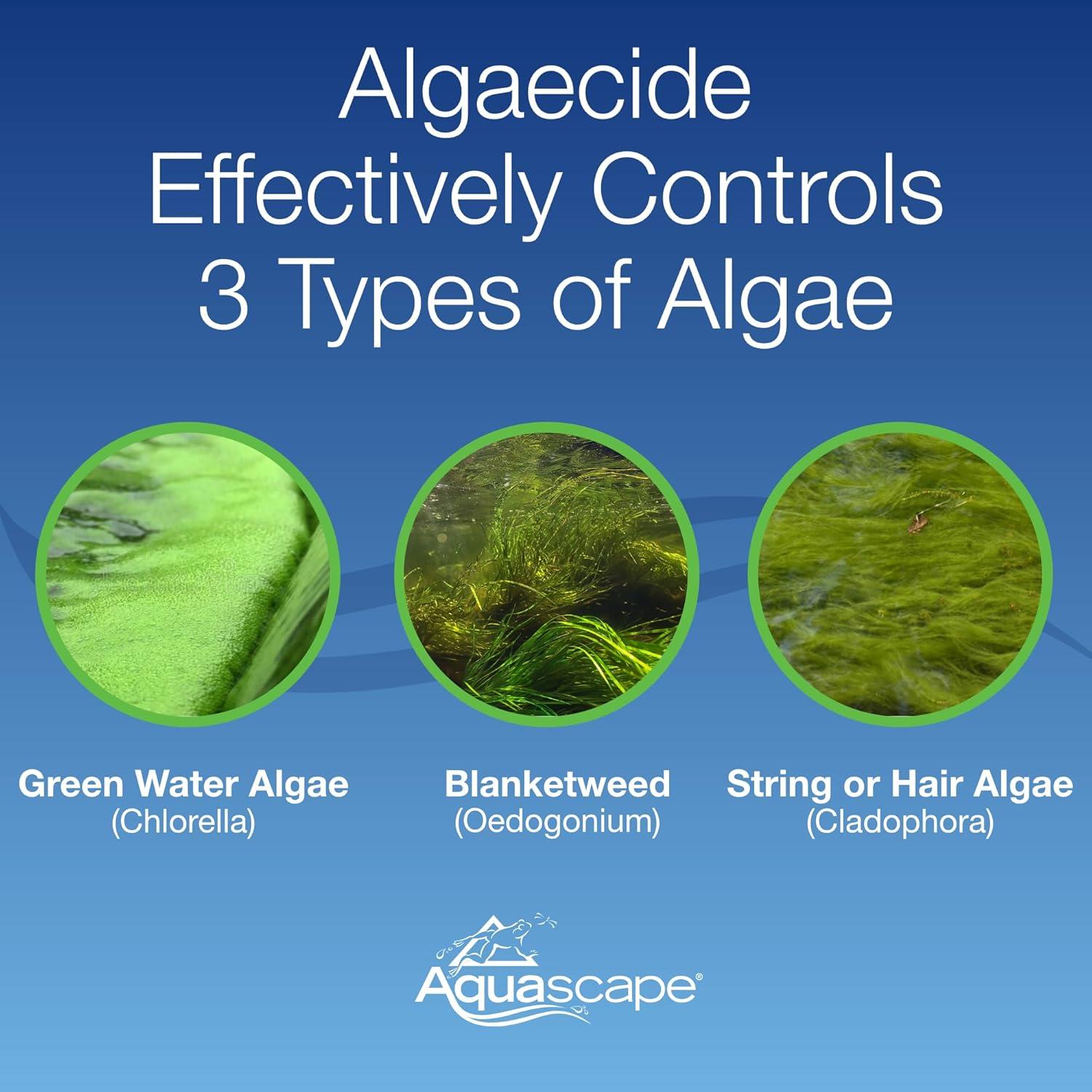 Aquascape Algaecide for Pond, Waterfall, and Water Features, 2.5-Gallon, 96053(1 Gallon / 3.78 L)