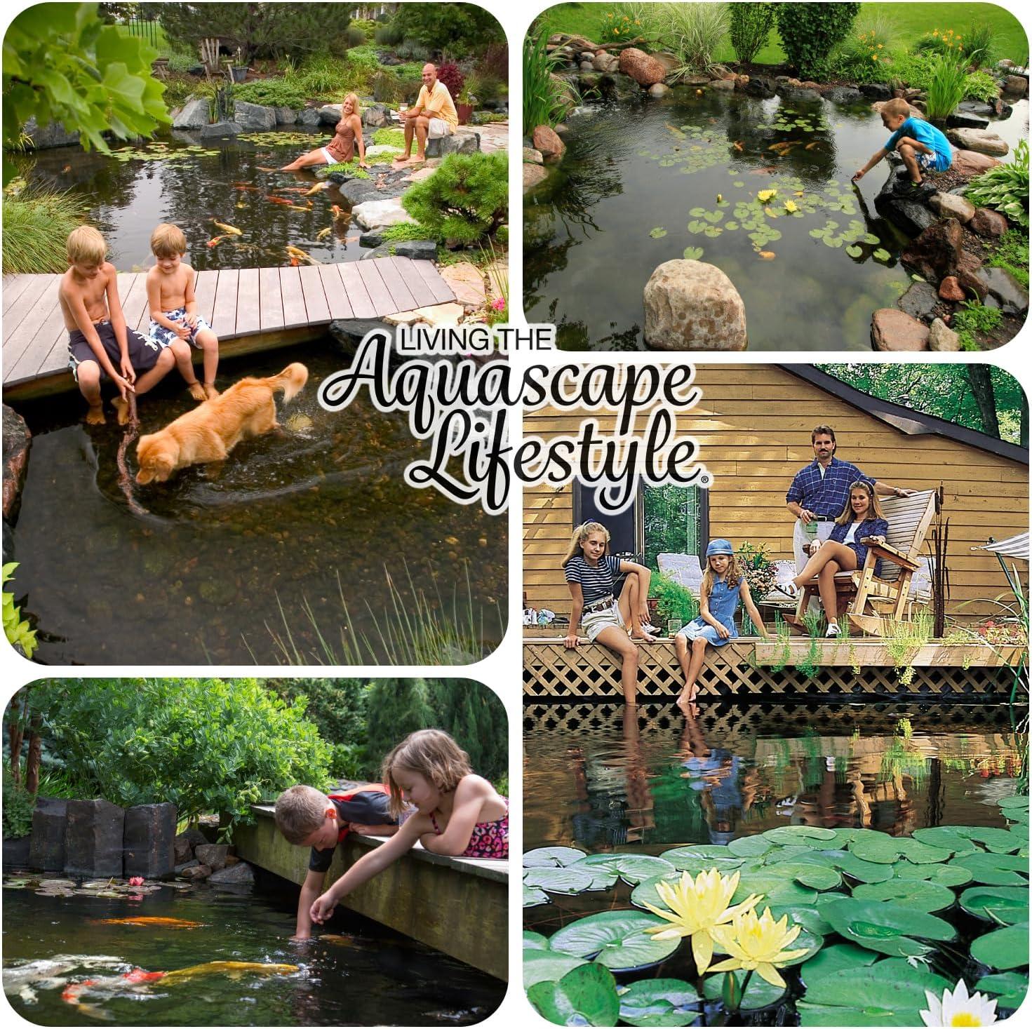 Aquascape Clear Water Treatment for Koi and Fish Ponds, Blend of Clarifiers to Clear Cloudy or Discolored Water and Reduce Debris | 4 (16-Ounces)(1-gallon)