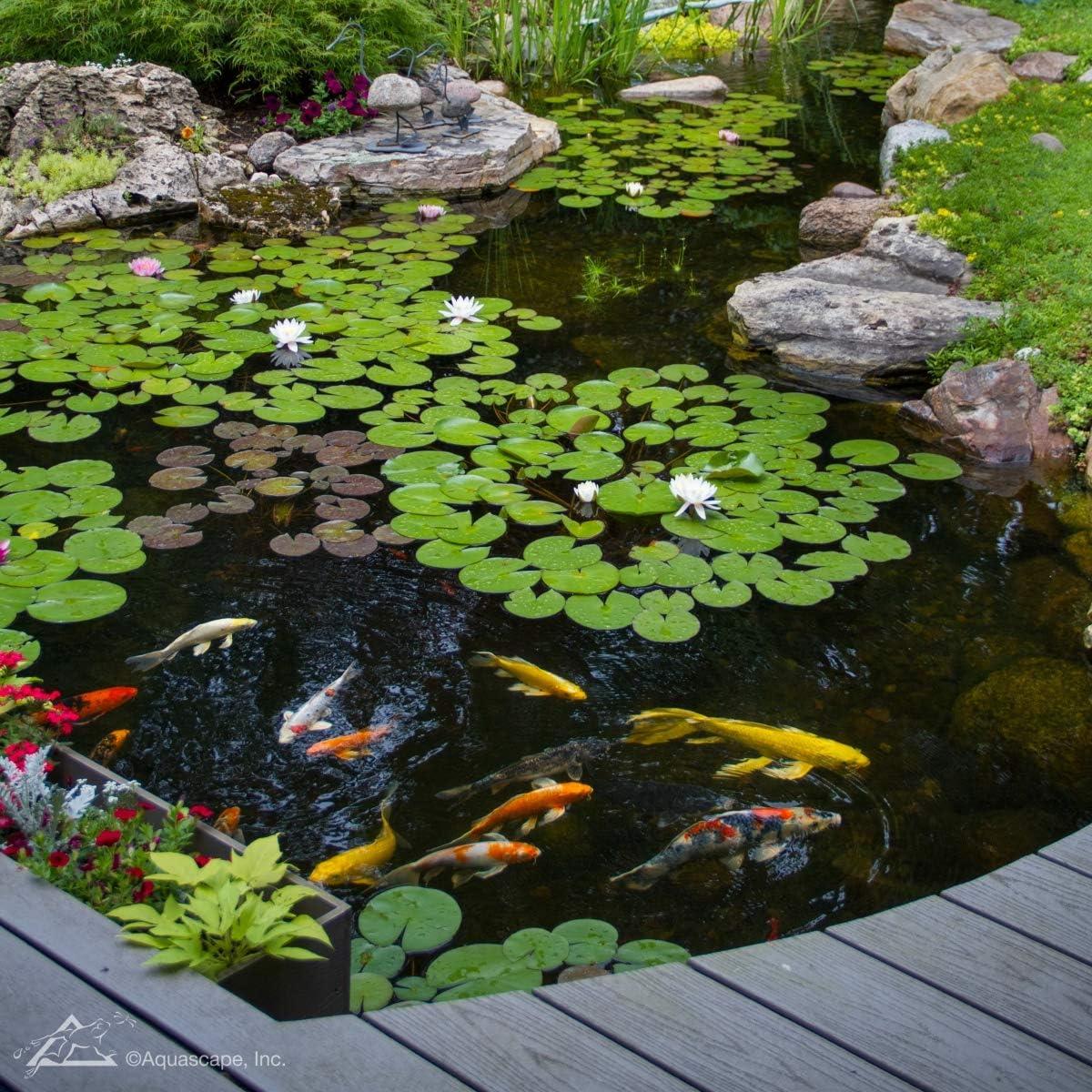 Aquascape SAB Stream and Pond Cleaner Water Treatment (8.8 oz / 250 g)