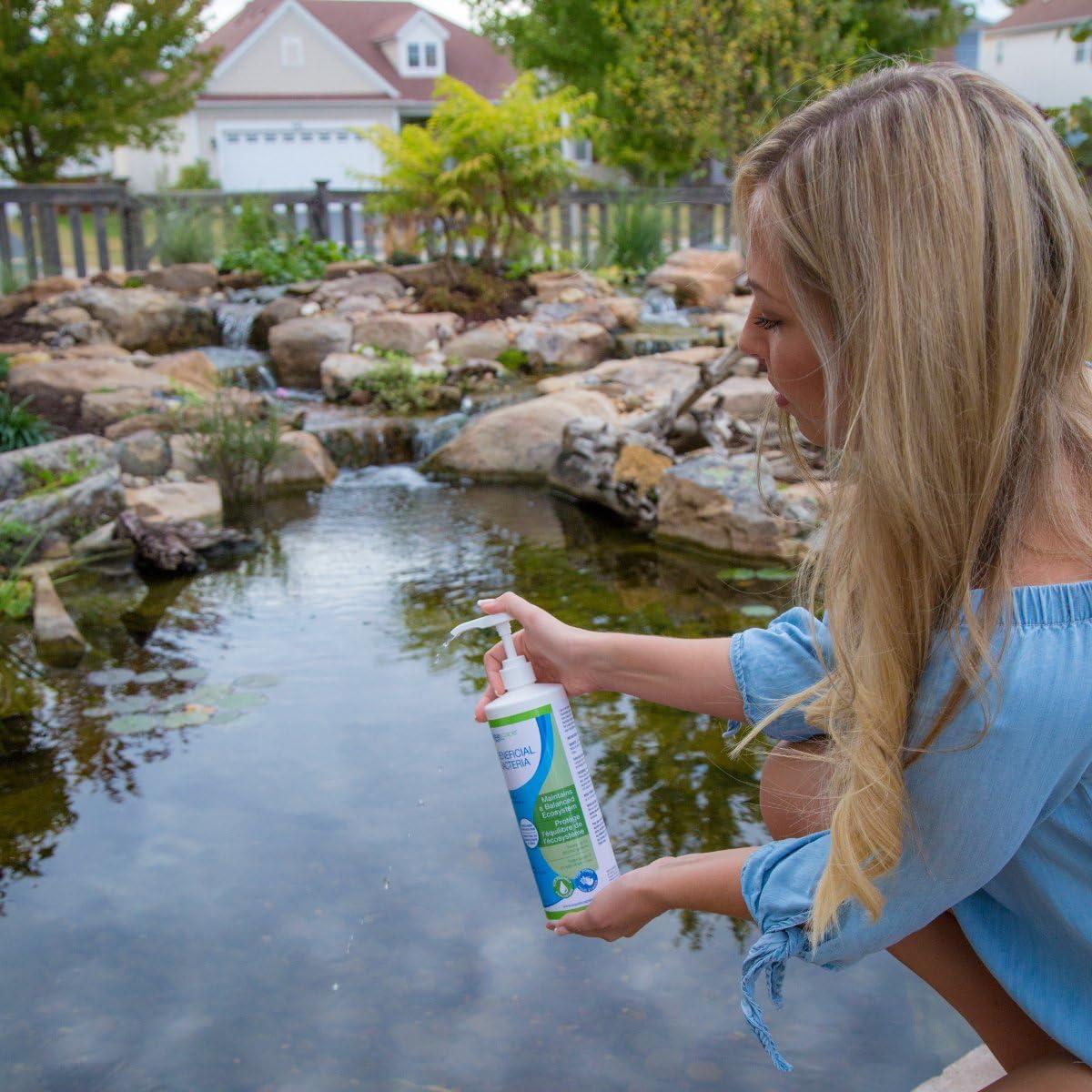 Aquascape MAINTAIN Water Treatment for Koi and Fish Ponds, Easy To Use, Powerful Blend of Beneficial Bacteria, Phosphate Binder, Flocculent, and Detoxifier, 1 gallon / 3.78 L | 96060(16-ounces)