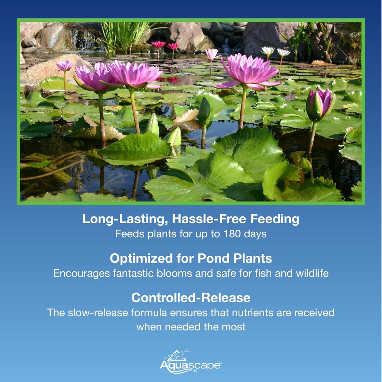 Aquascape Once-A-Year Pond Plant Fertilizer Capsules, 6-Pack, Easy Annual Feeding for Aquatic Plants, Safe for Fish, 89010(Capsules)