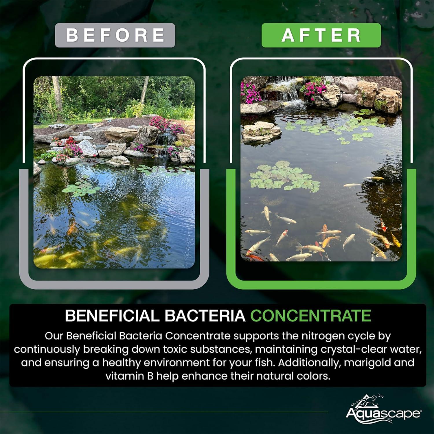 Aquascape Dry Beneficial Bacteria for Pond and Water Features, 4.4-Ounce | 98925,White(0.55 lb)