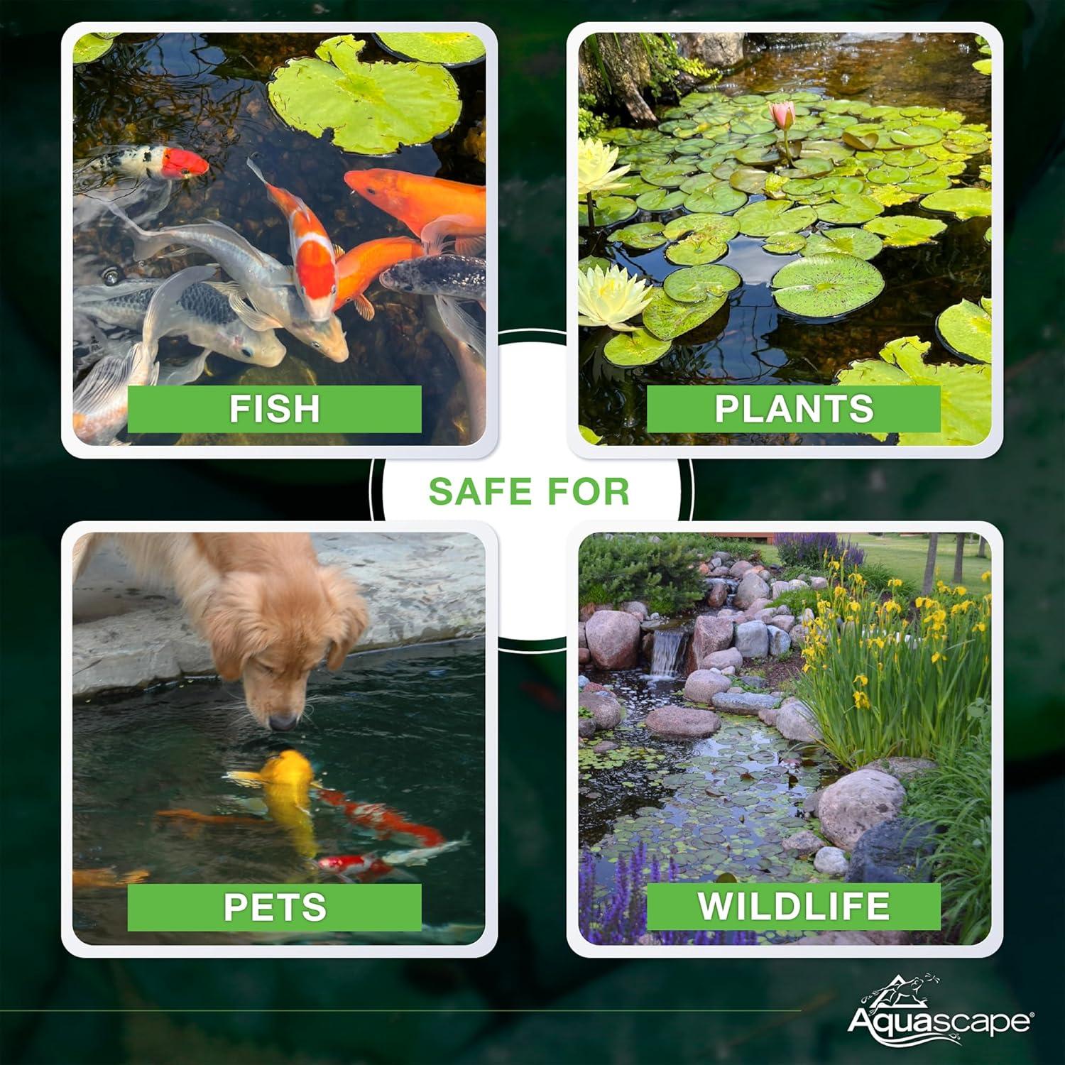 Aquascape Dry Beneficial Bacteria for Pond and Water Features, 4.4-Ounce | 98925,White(0.55 lb)