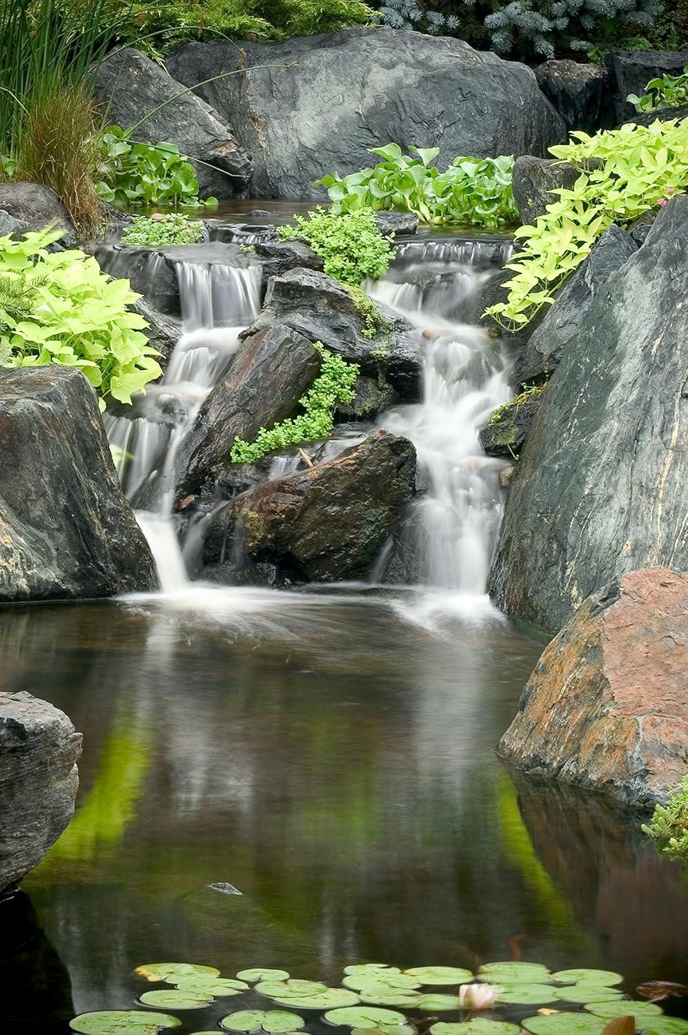 Aquascape 30408 AquascapePRO Sludge Cleaner Liquid Treatment for Pond Water Feature Waterfall Stream, 1 Gallon
