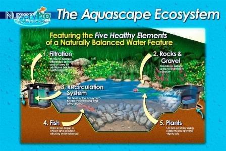 Aquascape – Installing Your MicroPond Kit – Instructional DVD