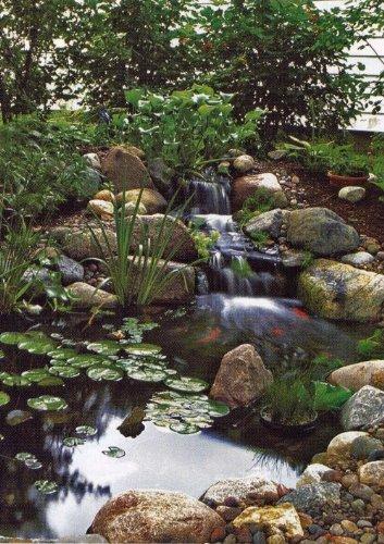 Aquascape – Installing Your MicroPond Kit – Instructional DVD