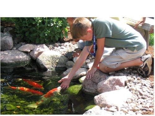 Aquascape – Installing Your MicroPond Kit – Instructional DVD