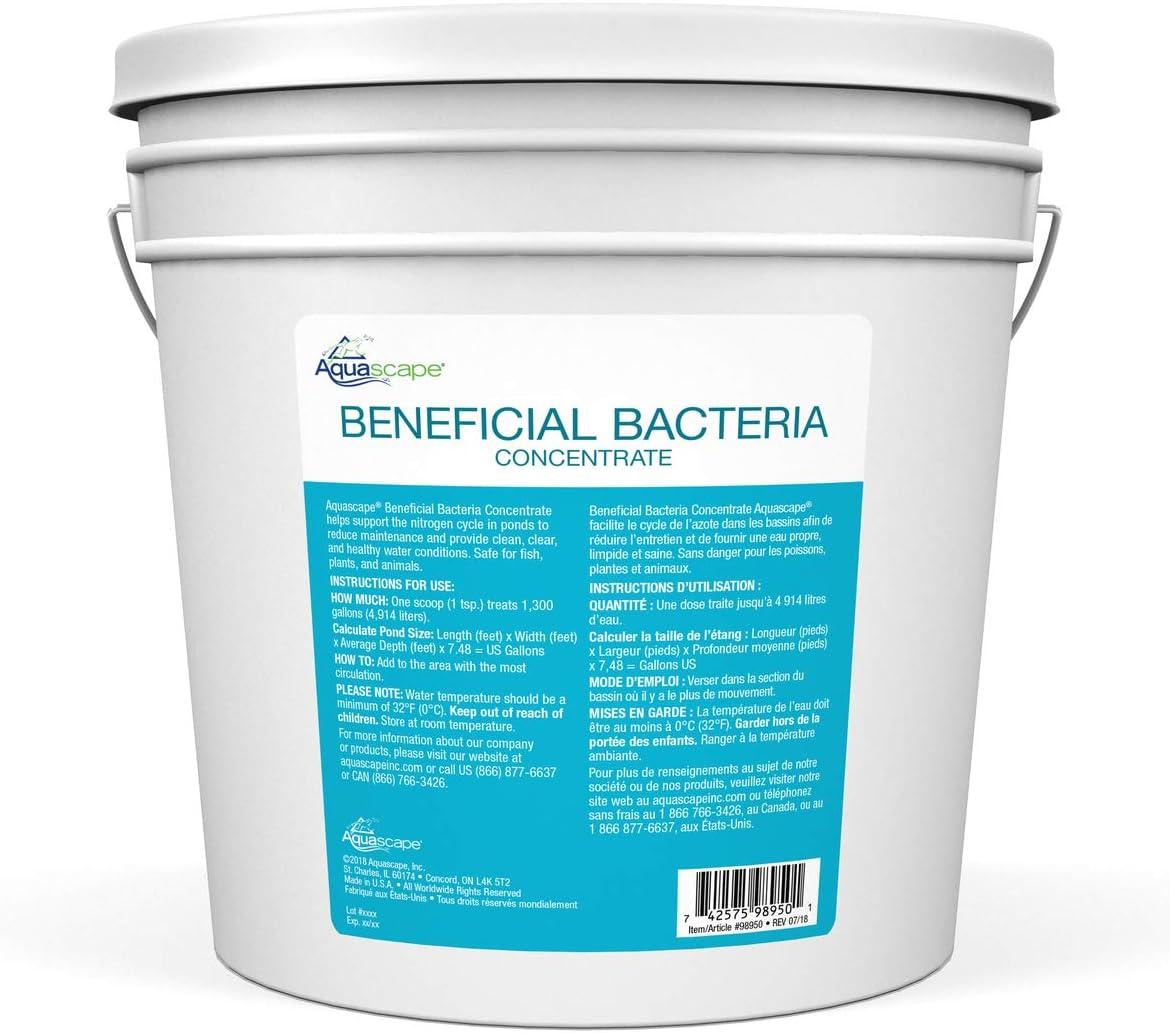Aquascape Dry Beneficial Bacteria for Pond and Water Features, 4.4-Ounce | 98925,White(7 lb)