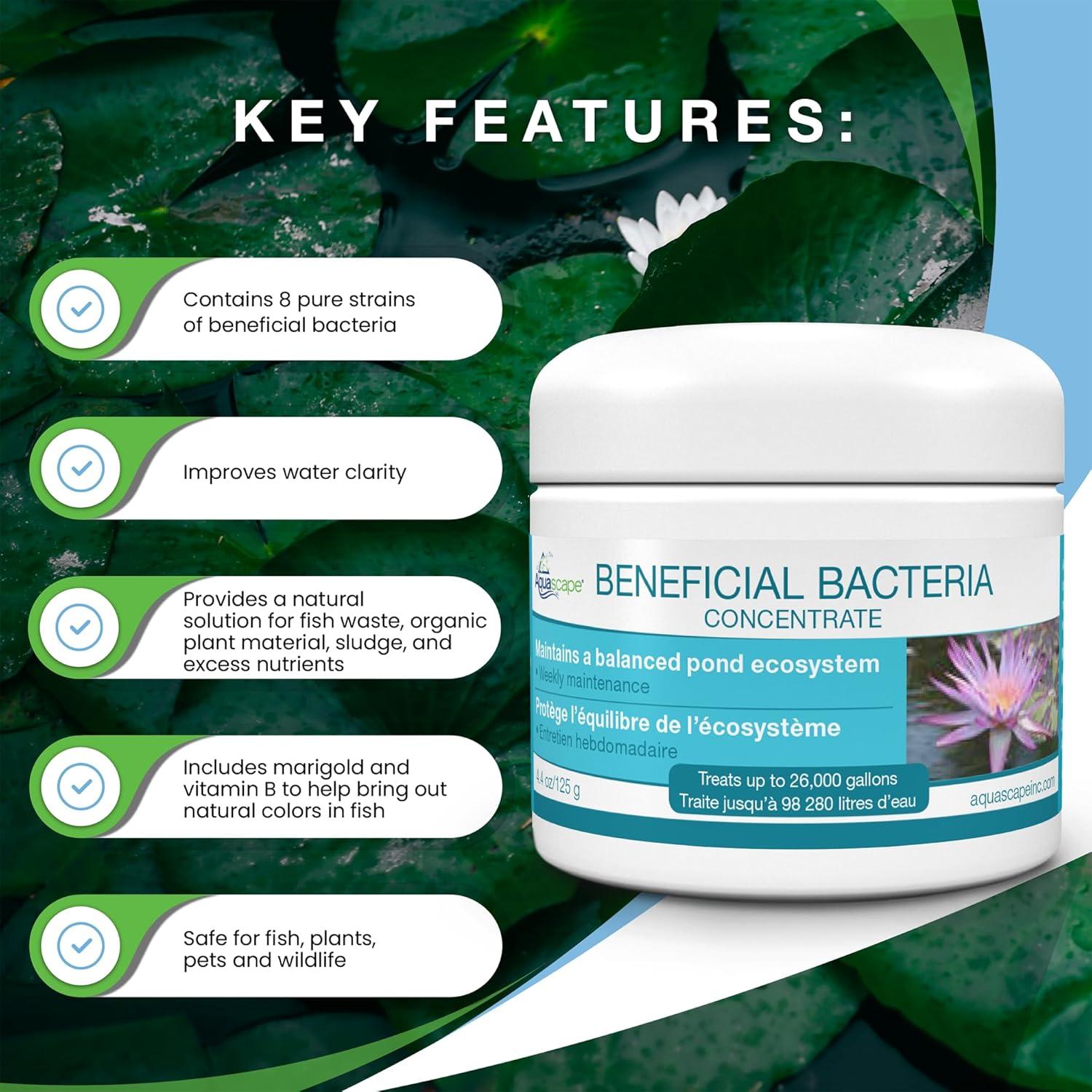 Aquascape Dry Beneficial Bacteria for Pond and Water Features, 4.4-Ounce | 98925,White(7 lb)