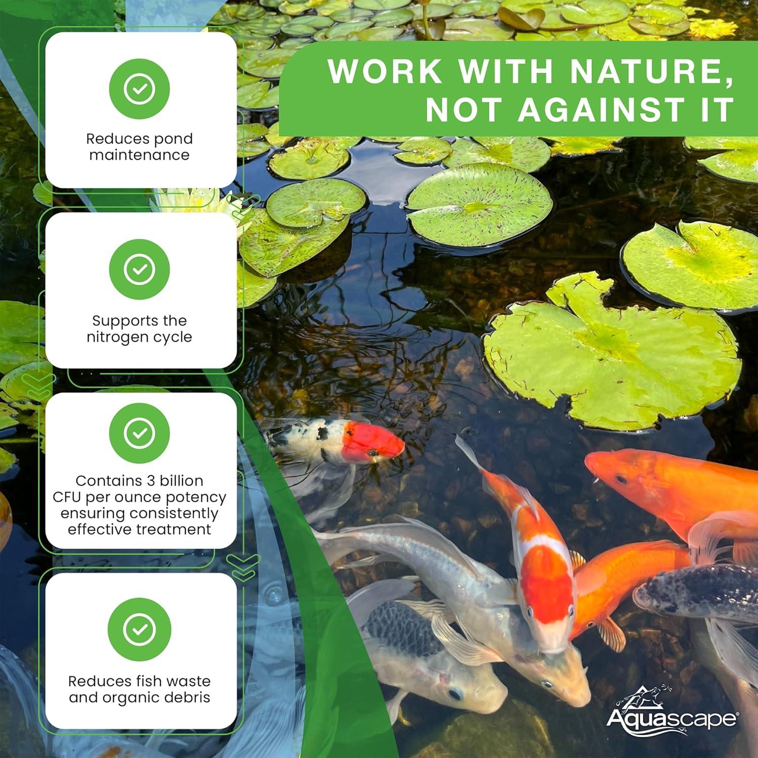 Aquascape Dry Beneficial Bacteria for Pond and Water Features, 4.4-Ounce | 98925,White(7 lb)