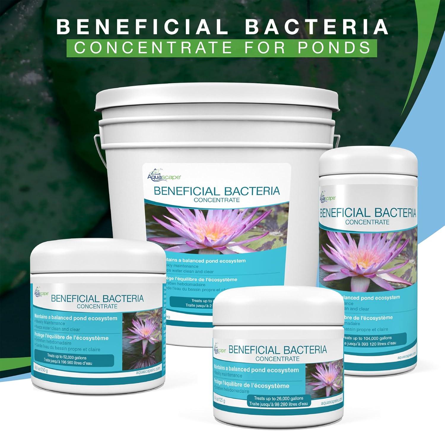 Aquascape Dry Beneficial Bacteria for Pond and Water Features, 4.4-Ounce | 98925,White(7 lb)
