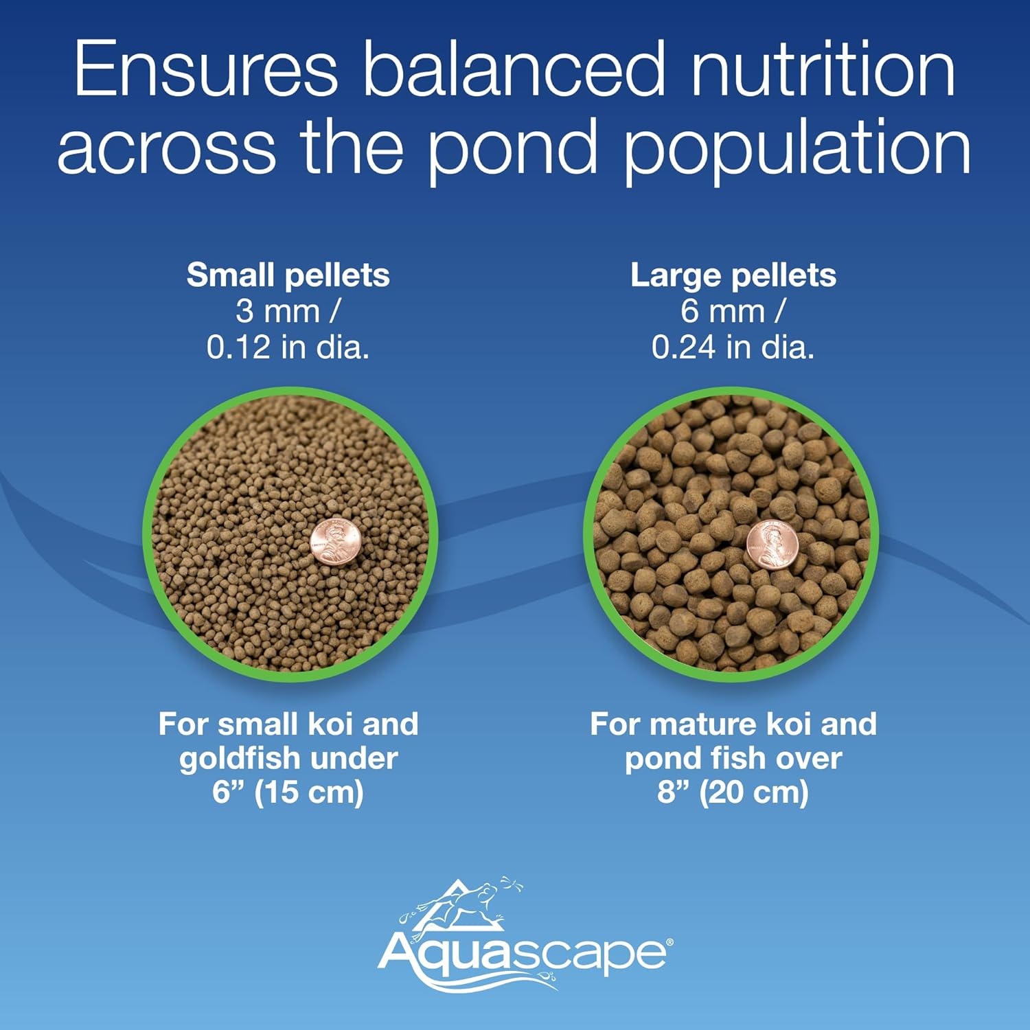 Aquascape Premium Cold Water Fish Food Pellets (4.4 lbs / 2 kg)(11 Pound (Pack of 1))