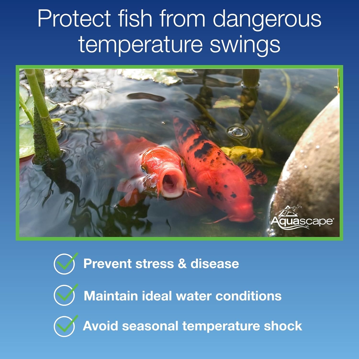 Aquascape Smart Pond Thermometer with Transformer | 74013(Thermometer Only)