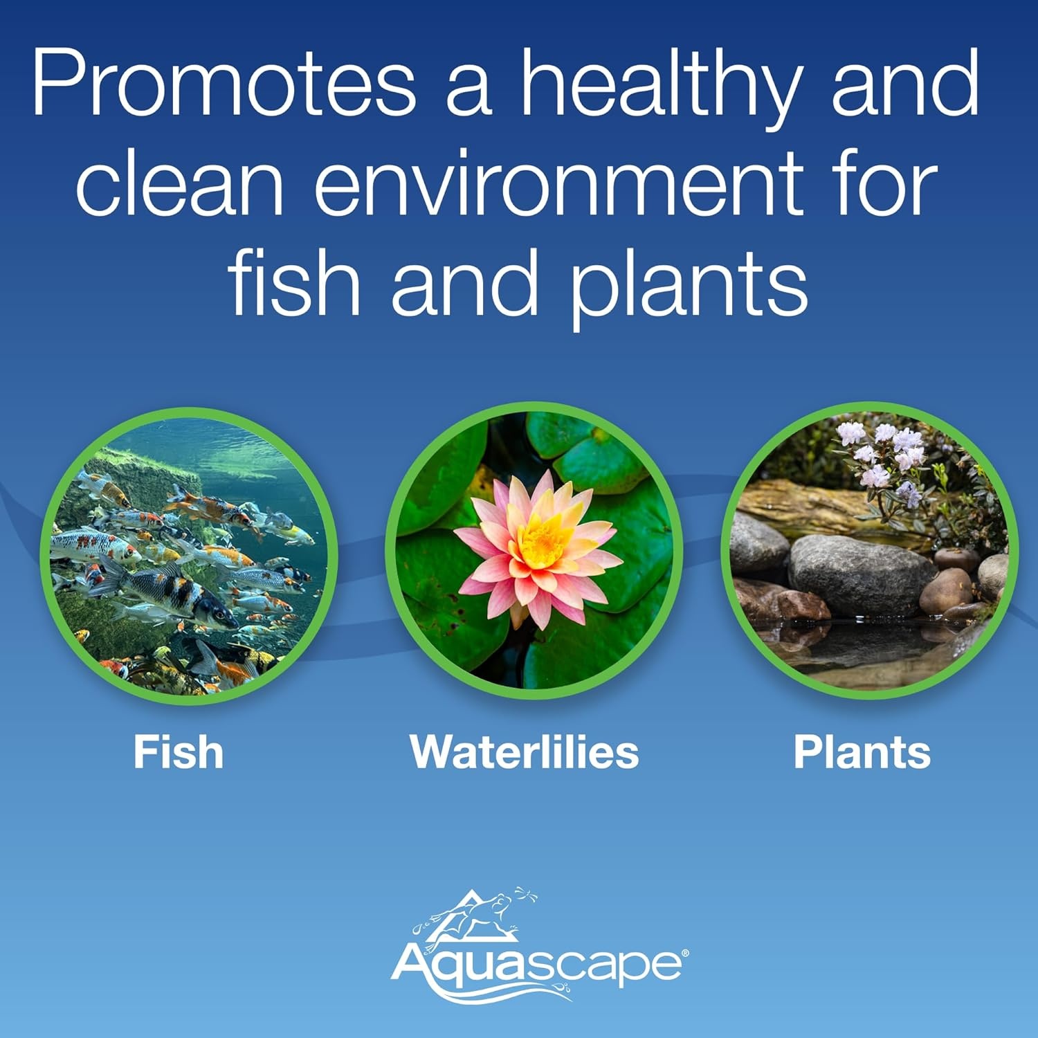Aquascape 75001 Pond Air 4 (Quadruple Outlet Aeration Kit)(4-Outlet)