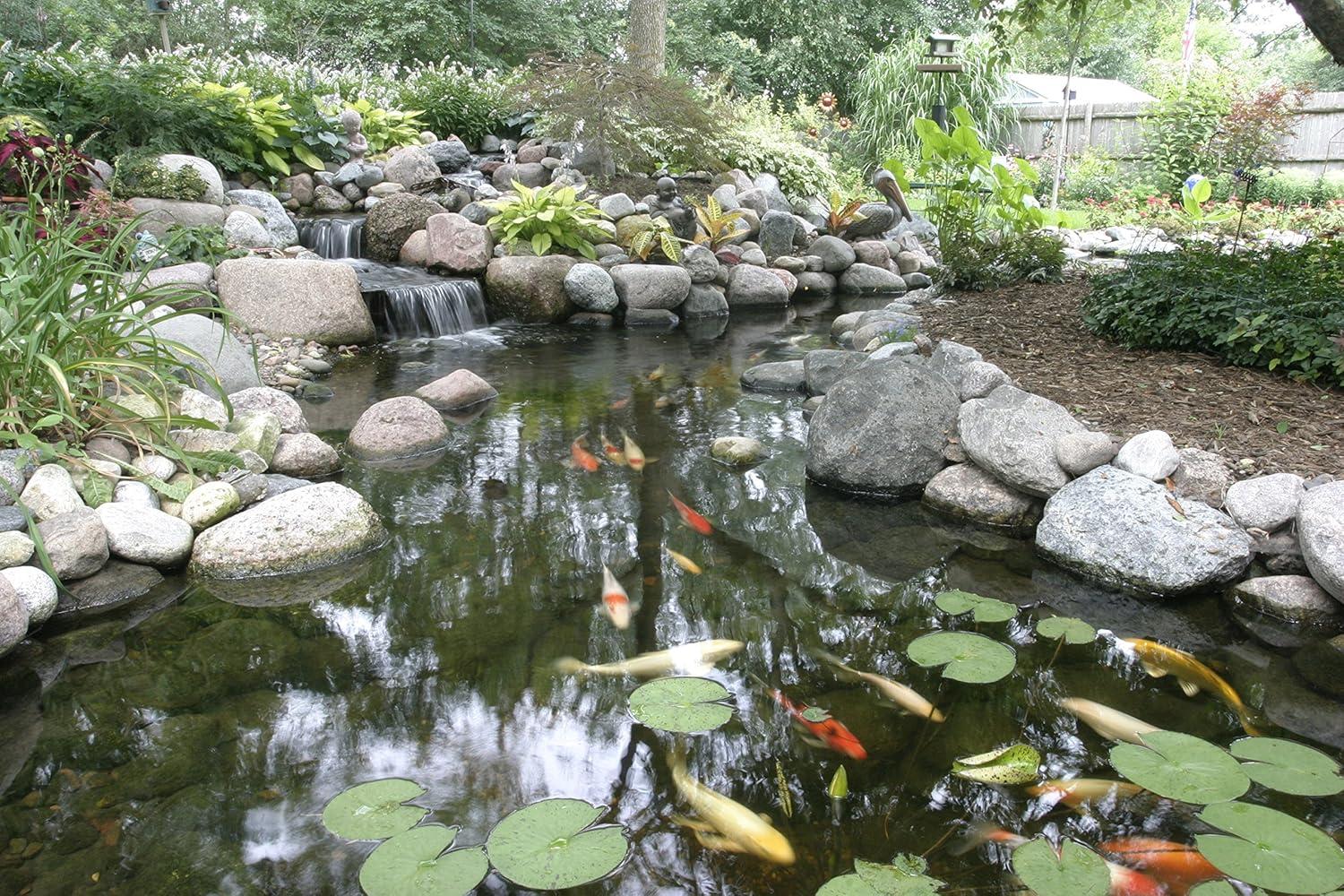 Aquascape Cold Water Beneficial Bacteria for Pond and Water Features 16 oz. / 473ml, 98893(32 fl oz)