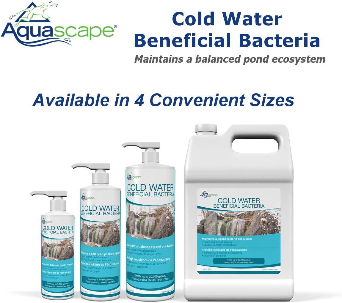 Aquascape Cold Water Beneficial Bacteria for Pond and Water Features 16 oz. / 473ml, 98893(8 fl oz)