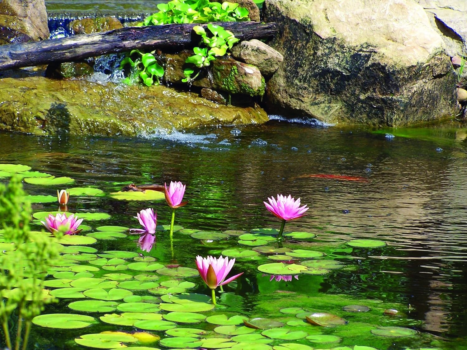 Aquascape UltraKlear 2500 UV Pond Clarifier – 28W UV Light for Clear Water & Algae Control, Ideal for Large Ponds & Water Features, 95037(5000)