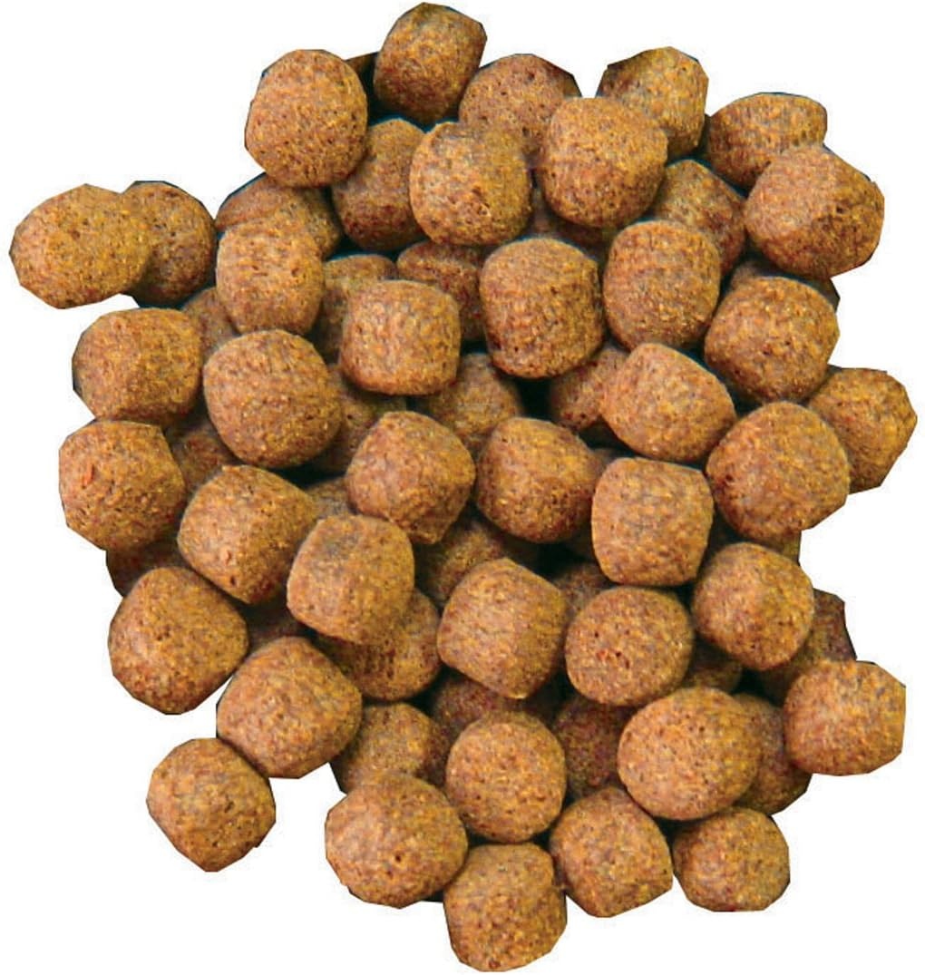 Aquascape Premium Color Enhancing Fish Food Pellets for Pond, Koi, Goldfish and More, 22 Pounds (10 kg), 81005