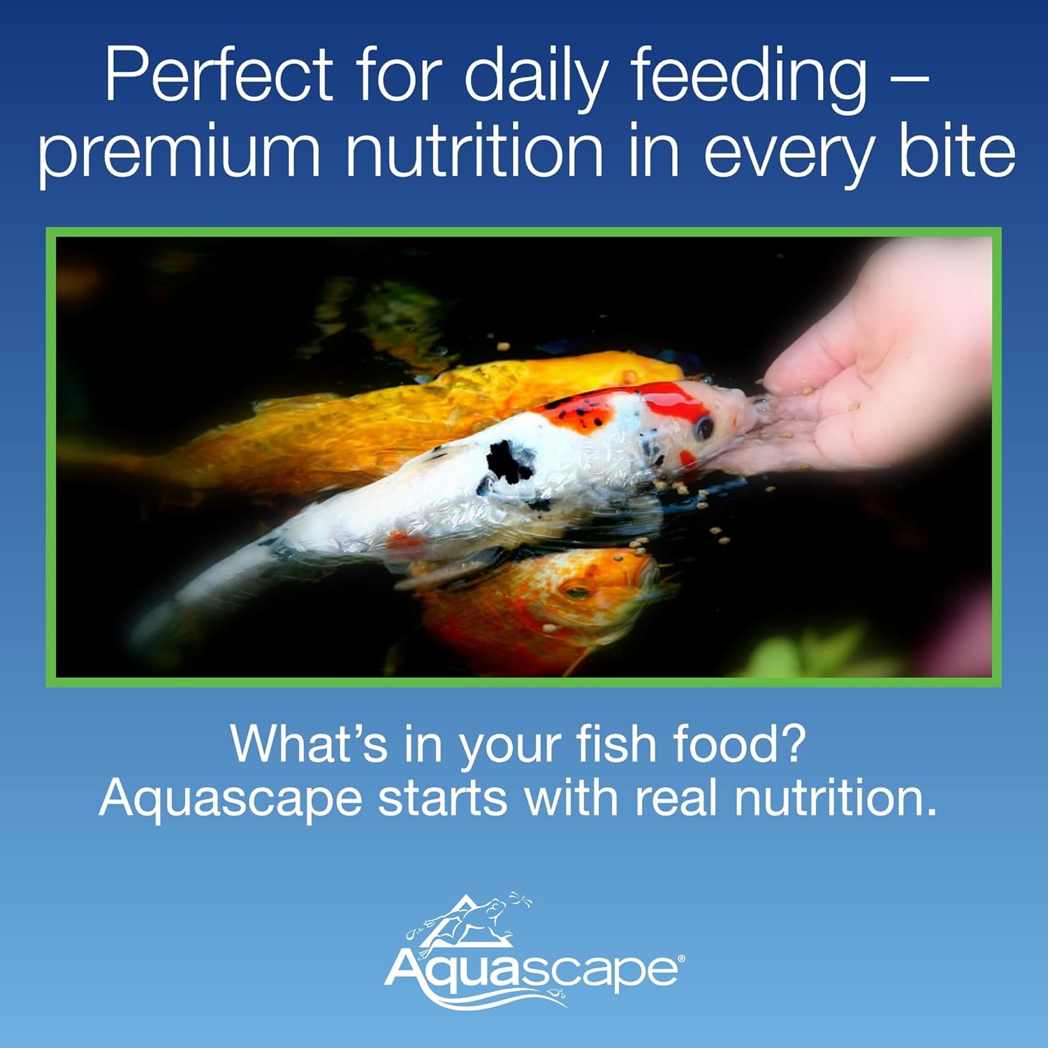 Aquascape Premium Staple Fish Food Pellets for Large Koi and Pond Fish, Large Pellet, 22 Pounds (10 Kg), 81007(11 Ounce (Pack of 1))