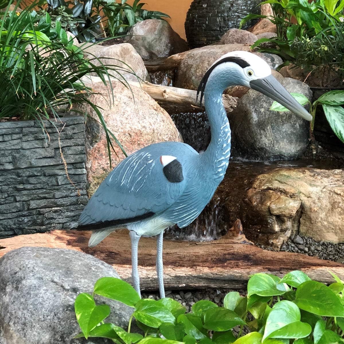 Aquascape Blue Heron Bird Decoy for Pond Water Feature and Garden 81030