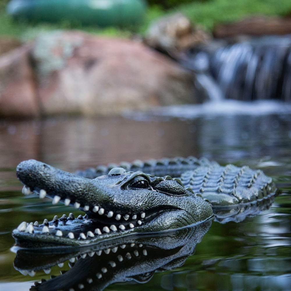 Aquascape Floating Alligator Decoy for Pond Water Feature 93000